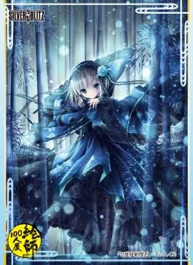 駿河屋 -<中古>SILVER BLITZスペシャルカードスリーブ 絵師100人展