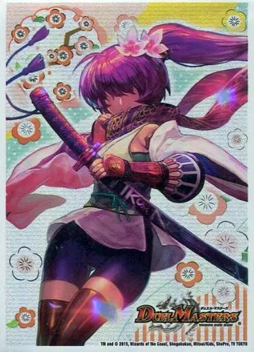 駿河屋 -<中古>爆熱血 ロイヤル・アイラVer. 限定カード