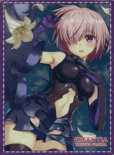 【Fate】スリーブ マシュ・キリエライト(藤真拓哉) COMIC1☆11/ESSENTIA