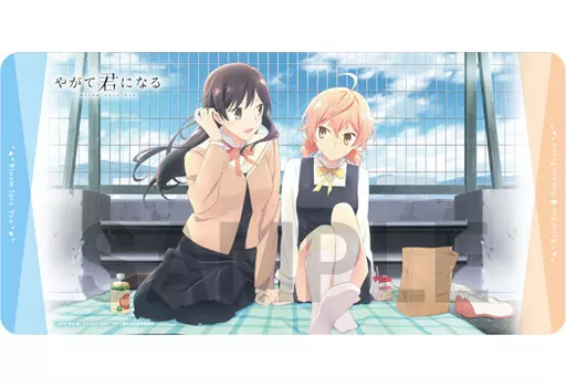 駿河屋 - 【買取】ラバープレイマットコレクション「やがて君になる