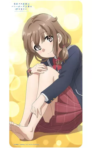 駿河屋 - 【買取】ラバープレイマットコレクション 「青春ブタ野郎は