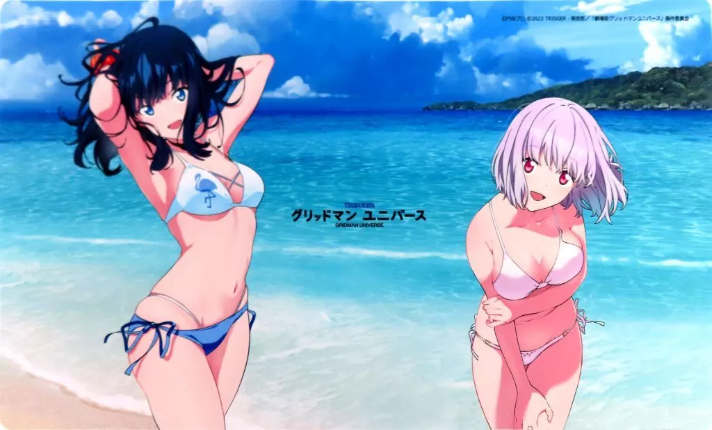 グリットマンユニバース 六花&アカネ 水着 ラバーマット 駿河屋 -<中古>グリッドマン ユニバース 描き下ろしラバーマット