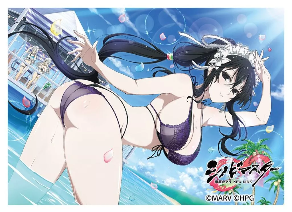シノビマスター 閃乱カグラ NEW LINK スリーブ 雪不帰/81の日爆乳祭