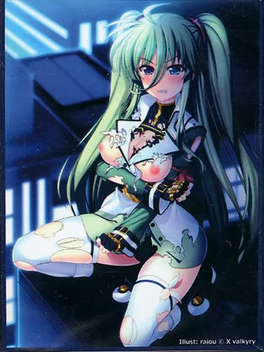 X valkyry スリーブ LN01 アインハルト・ストラトス(raiou) C88/Scarlet Agents 604701045image