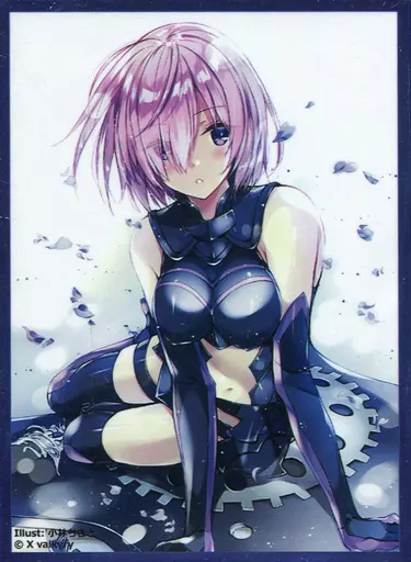 C95 Scarlet Agents SSSS.GRIDMAN グリッドマン 宝多六花 六花