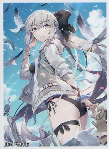 【Fate】スリーブ 水着 モルガン(我美蘭) C100/逸遊団