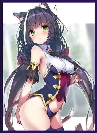 【プリンセスコネクト!Re：Dive】スリーブ キャル(Hong) エアサンクリ2020夏/サンパン