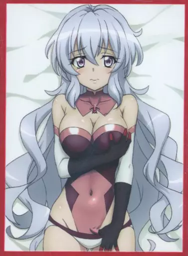 駿河屋 -<中古>【戦姫絶唱シンフォギア】スリーブ 雪音クリス インナー