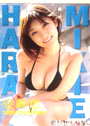 駿河屋 -<中古>原幹恵 2009年度 壁掛けカレンダー（写真集系）