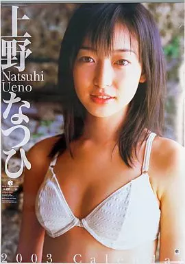 沸騰ブラドン 駿河屋 -<中古>上野なつひ 2003年度カレンダー （写真集系） 芸能人、タレント