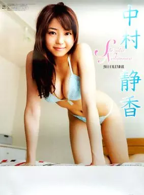 駿河屋 - 【買取】中村静香 2014年 壁掛けカレンダー （写真集系）