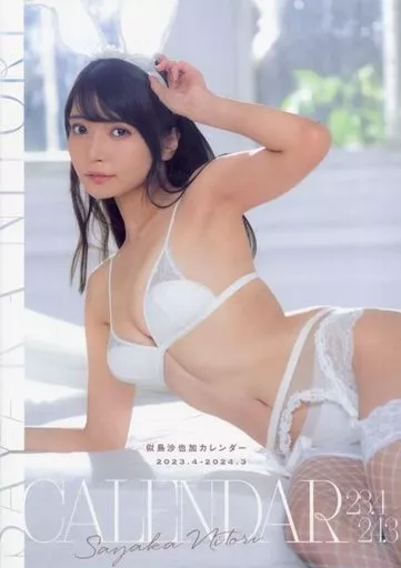 グラビアカレンダー ２本 グラビアカレンダー 2本 Amazon.com: JAPANESE CALENDAR Tri-X