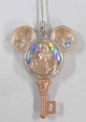 駿河屋 -<中古>キラキラシャイニー☆キー アリス 「データ