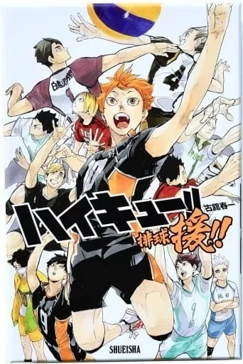 駿河屋 -<中古>[再販予約] ハイキュー!!排球援!!（カードゲーム）