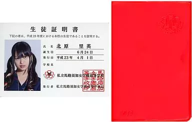 SKE48 松井珠理奈 生徒証明書生徒手帳 マジすか学園2DVD-BOX予約特典 SKE48 松井珠理奈 生徒証明書生徒手帳 マジすか学園2DVD-BOX予約特典