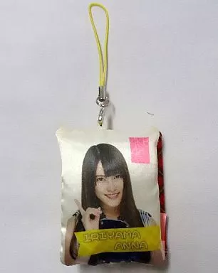 入山杏奈(チーム4) AKB48 ミニクッション型携帯クリーナーストラップ チームA＆チーム4