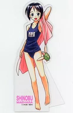 ラブひな 卓上ポップ POP ポップ 成瀬川なる 前原しのぶ 9枚セット 10