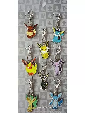 CRYSTAL DROPS メタルチャーム　キーホルダー　ブイズ 2025年最新】ポケモン メタルチャーム ブイズの人気アイテム