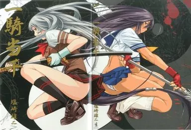 駿河屋 -<中古>趙雲子龍＆関羽雲長 特製ブックカバー 「一騎当千
