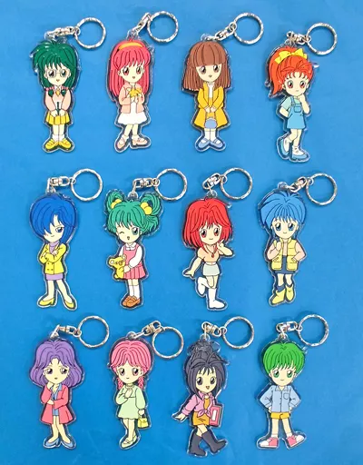 駿河屋 -<中古>全12種セット アクリルキーホルダー 「ときめき