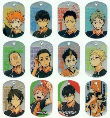 駿河屋 - 【買取】全12種セット 「ハイキュー!! キャラメタルタグ