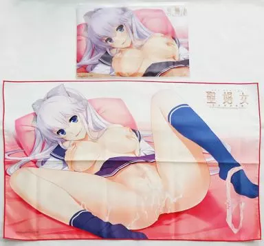 桂木紫苑 収納ケース入りマイクロファイバータオル 「聖娼女 -性奴育成学園-」 C84グッズ