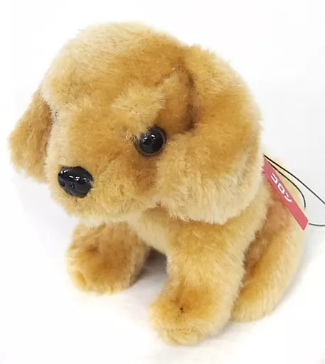 板野友美(コロン) ワンダフルストラップ 「WONDA×AKB48 ワンダフルストラップ＆デザイン缶」