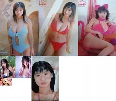 【お値下げ可能です！】夏目理緒　コスチューム　カード 駿河屋 -<中古>[テレカ無し] 夏目理緒 コンプリートセット