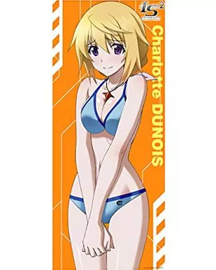 駿河屋 -<中古>シャルロット・デュノア マイクロファイバースポーツ