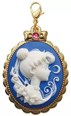 駿河屋 -<中古>セーラームーン 「美少女戦士セーラームーン