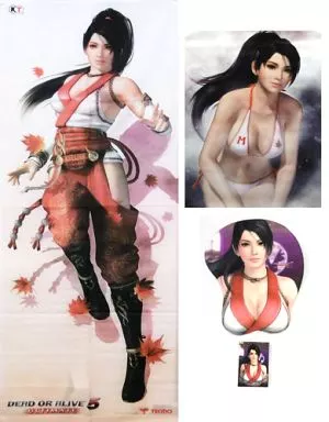 紅葉レッドグッズ コンプリートセット 「PS3/Xbox360ソフト DEAD OR ALIVE 5 ULTIMATE 紅葉レッドコンプリートパッケージ」 同梱特典_image