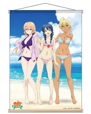 駿河屋 -<中古>Side Girls(薙切＆田所＆水戸) B2タペストリー