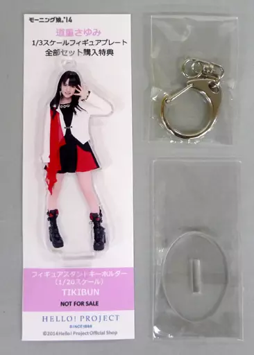 駿河屋 -<中古>道重さゆみ(TIKIBUN/モーニング娘。'14