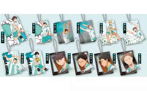 全12種セット 「ハイキュー!! プラキーホルダー 青葉城西高校Ver.」