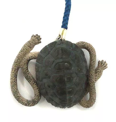 テナガガメ 「松本人志 世界の珍獣 第二弾」
