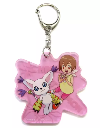 八神ヒカリ＆テイルモン アクリルキーホルダー 「デジモンアドベンチャー THE REAL WORLD」