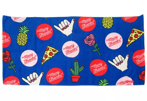 駿河屋 - 【買取】西野カナ ビッグタオル 「Kana Nishino Dome Tour