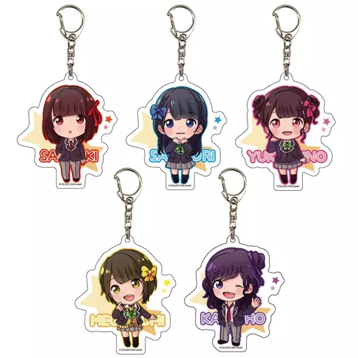全5種セット 「ゲーマーズ!×ルーチェ(Luce Twinkle Wink☆) アクリルキーホルダー01」