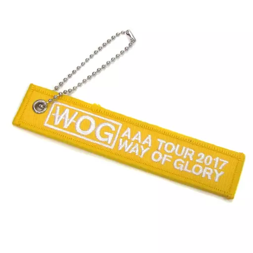 日高光啓 ツアー会場限定え～タグキーホルダー(イエロー) 「AAA DOME TOUR 2017 -WAY OF GLORY-」 え～キャンペーン ツアーグッズ購入特典