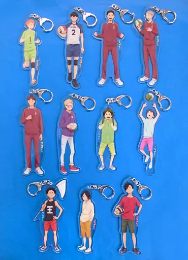 全11種セット 「ハイキュー!! 「思い出」全身アクリルキーホルダー」 アニメイト限定
