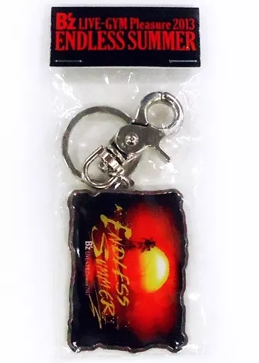 B’z キーホルダー 「B’z LIVE-GYM Pleasure 2013-ENDLESS SUMMER-」