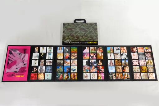 浜崎あゆみ 15th Anniversarytour マグネット フルコンプ 駿河屋 -<中古>浜崎あゆみ 15th Anniversary COLLECTION PRIZE