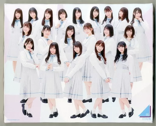 日向坂46 キャンバスボード 駿河屋 - 【買取】日向坂46 キャンバスボード 「日向坂46 POP UP STORE