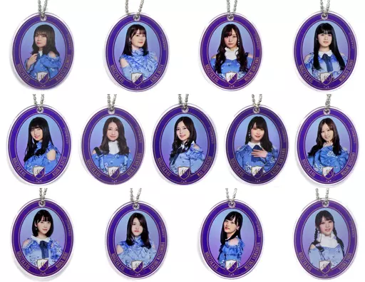 全13種セット 乃木坂46 アクリルチャーム 「くじっちゃお 乃木坂46-ワンコインくじ-」 アクリルチャーム賞