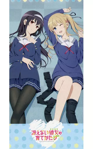 コレクション、趣味 まとめ 冴えカノ 加藤恵 詩羽 英梨々 ビッグタオル