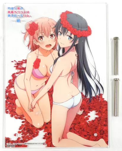 雪ノ下雪乃＆由比ヶ浜結衣(水着) アクリルイラストボード 「Blu-ray/DVD やはり俺の青春ラブコメはまちがっている。続 アニメイト」 全巻購入特典_image