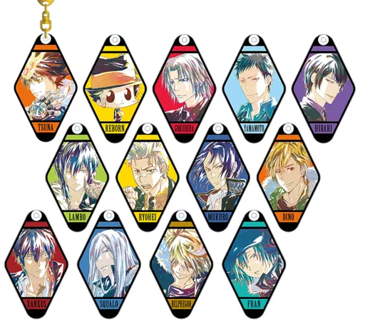 全13種セット 「家庭教師ヒットマンREBORN! トレーディング Ani-Art アクリルキーホルダー vol.2」