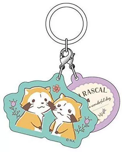 B(ボタニカルデザイン) アンブレラチャーム 「あらいぐまラスカル」