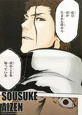 予約】BLEACH B3布ポスター 藍染 惣右介 | は行,BLEACH