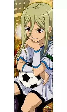 駿河屋 -<中古>亜風炉照美 「イナズマイレブン キャラポスコレクション